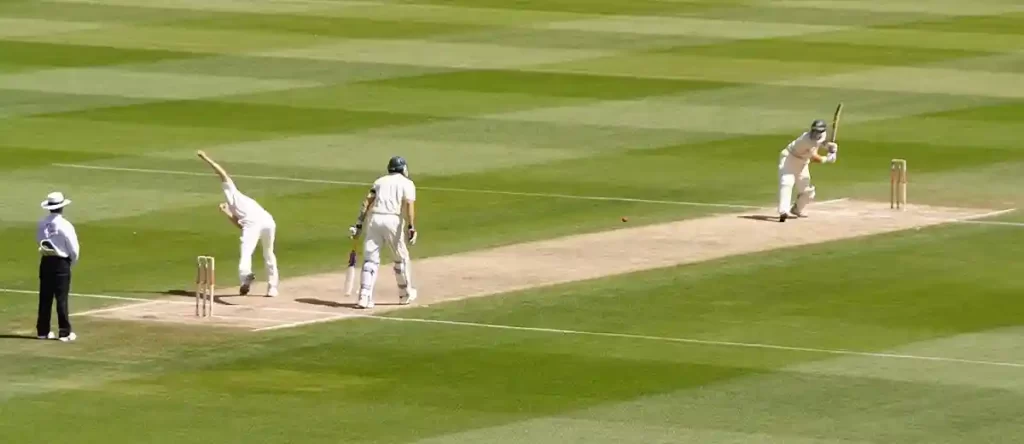rummy 365 cricket